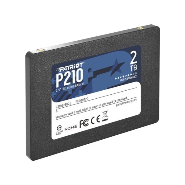 Patriot P210 256gb